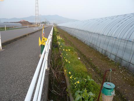 ���N���͎O���̓��I