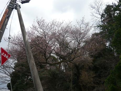 ���N���͎O���̓��I