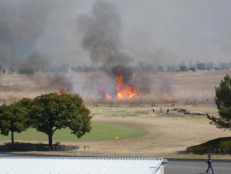 ���N���͎O���̓��I