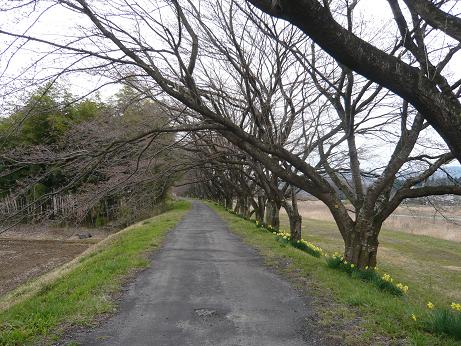 ���N���͎O���̓��I