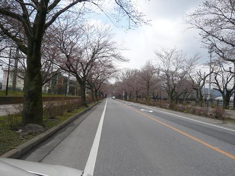 ���N���͎O���̓��I