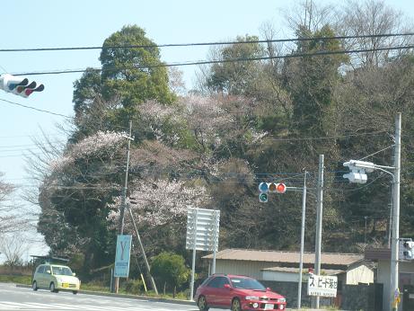 ���N���͎O���̓��I