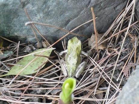 ���N���͎O���̓��I