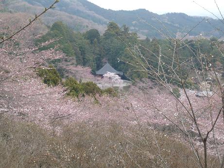 ���N���͎O���̓��I