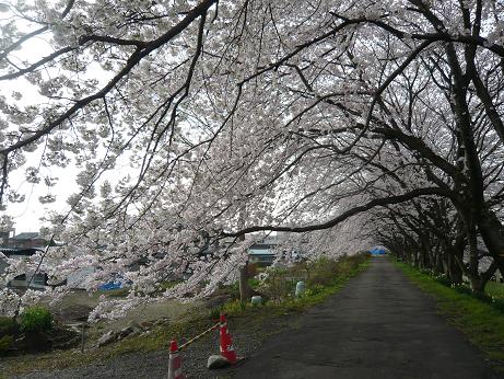 ���N���͎O���̓��I