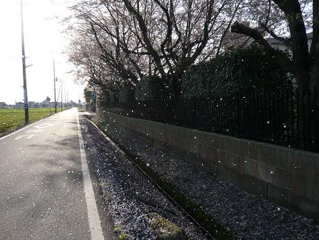 ���N���͎O���̓��I