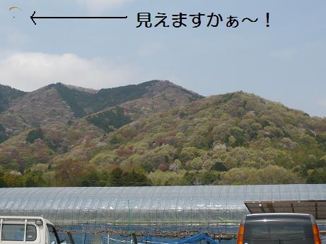 ���N���͎O���̓��I