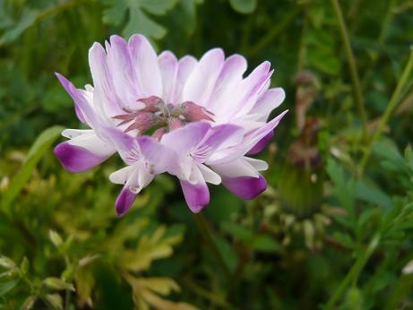 ���N���͎O���̓��I