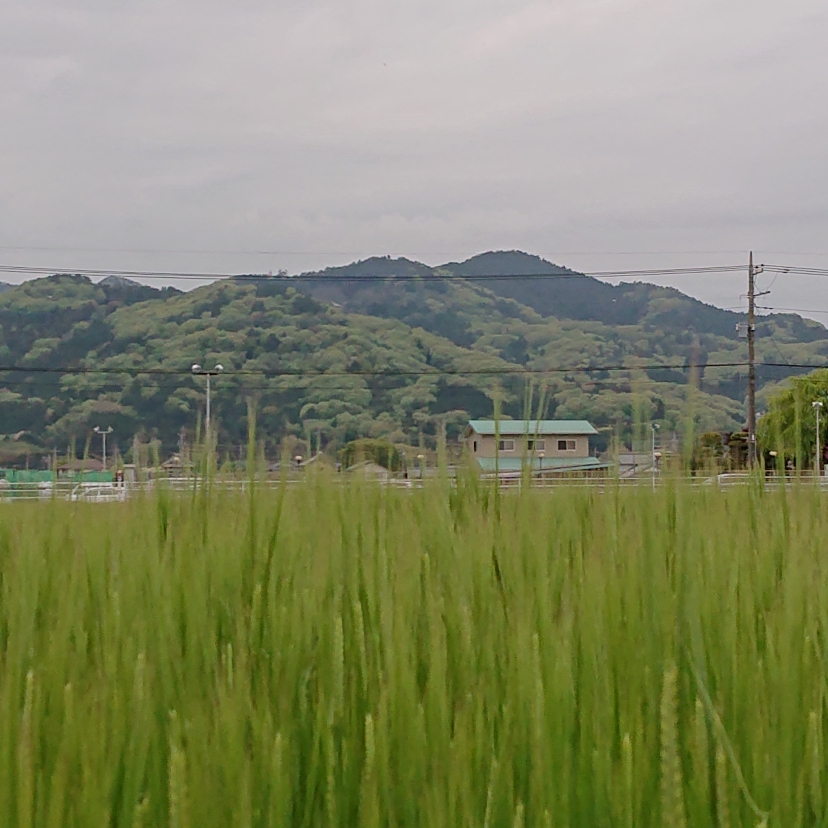 ���N���͎O���̓��I