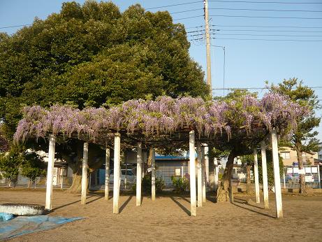 ���N���͎O���̓��I