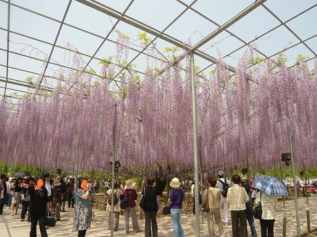 ���N���͎O���̓��I