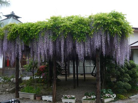 ���N���͎O���̓��I