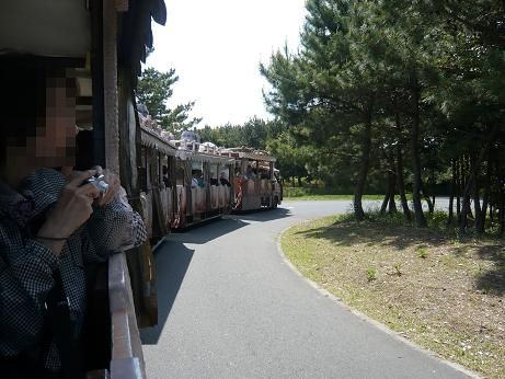 ���N���͎O���̓��I