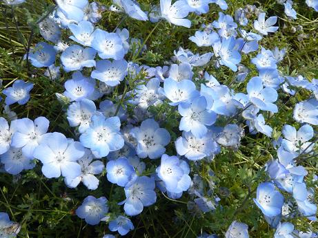 ���N���͎O���̓��I