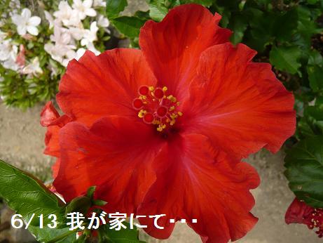 ���N���͎O���̓��I