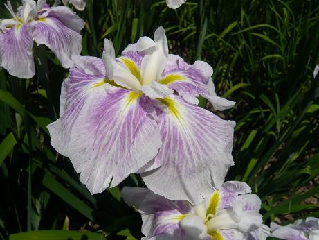 ���N���͎O���̓��I