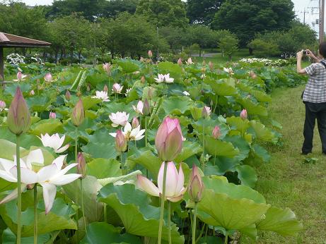 ���N���͎O���̓��I