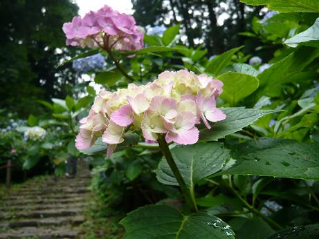 ���N���͎O���̓��I