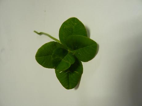 ���N���͎O���̓��I