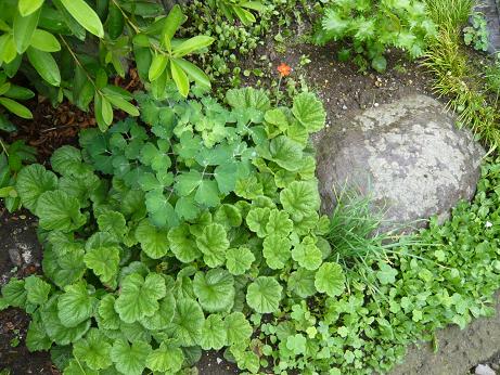 ���N���͎O���̓��I