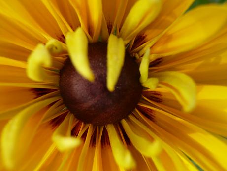 ���N���͎O���̓��I