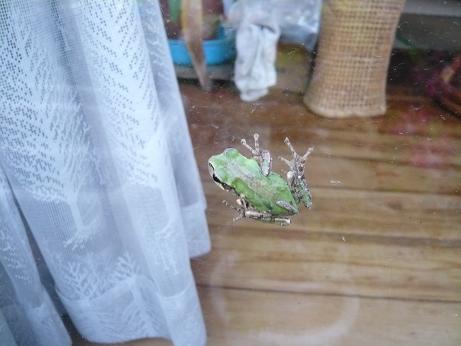 ���N���͎O���̓��I