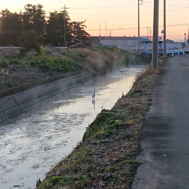 ���N���͎O���̓��I