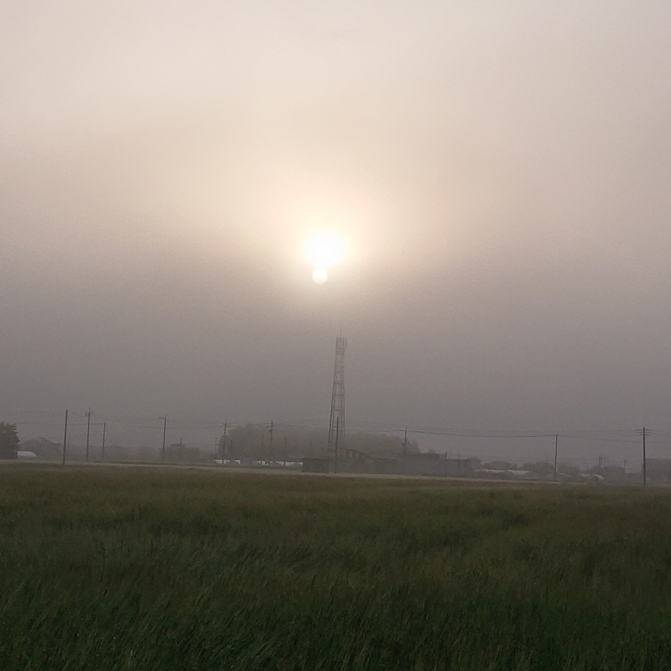 ���N���͎O���̓��I