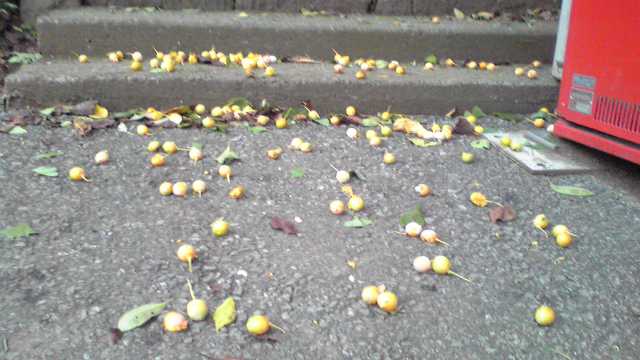 ���N���͎O���̓��I