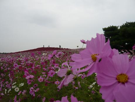 ���N���͎O���̓��I