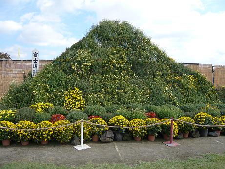 ���N���͎O���̓��I