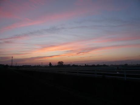 ���N���͎O���̓��I