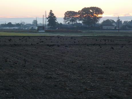 ���N���͎O���̓��I