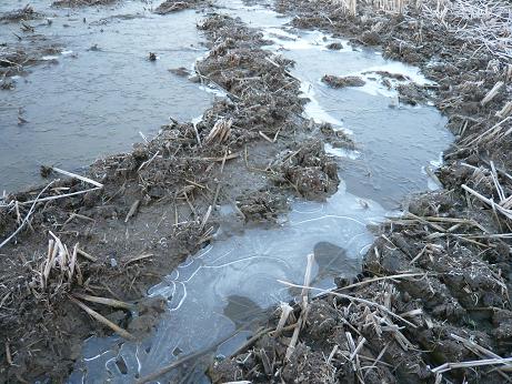 ���N���͎O���̓��I