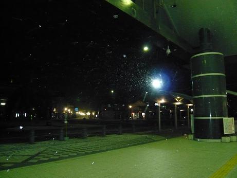 ���N���͎O���̓��I