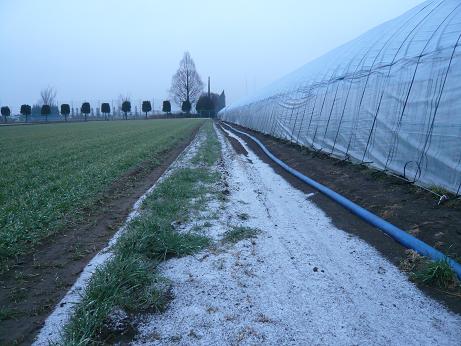 ���N���͎O���̓��I