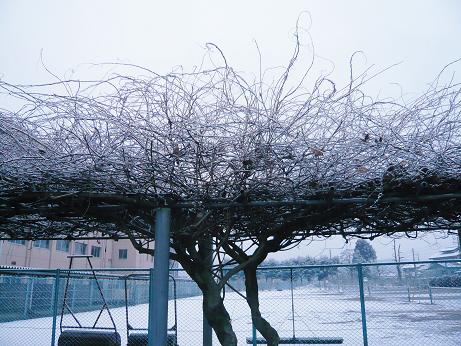 ���N���͎O���̓��I