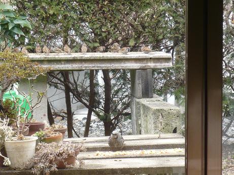 ���N���͎O���̓��I