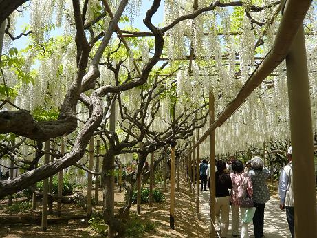 ���N���͎O���̓��I