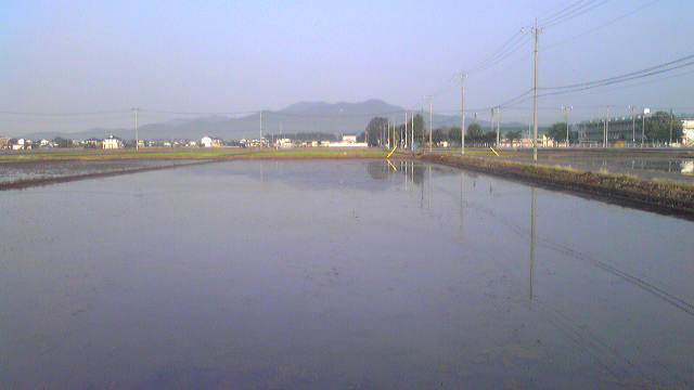 ���N���͎O���̓��I