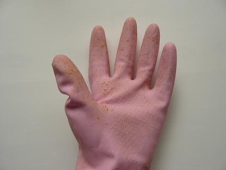 ���N���͎O���̓��I