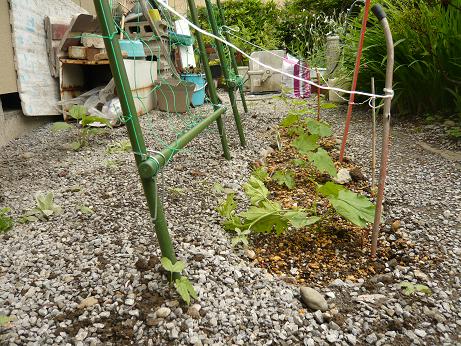 ���N���͎O���̓��I