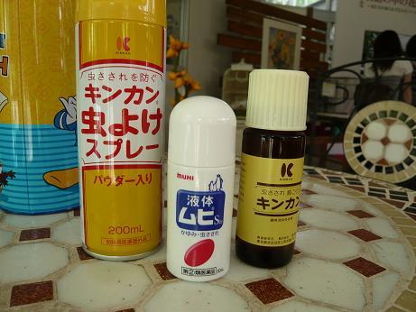 ���N���͎O���̓��I