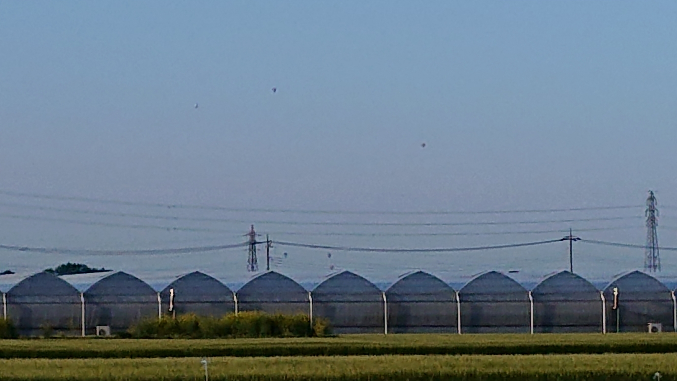 ���N���͎O���̓��I