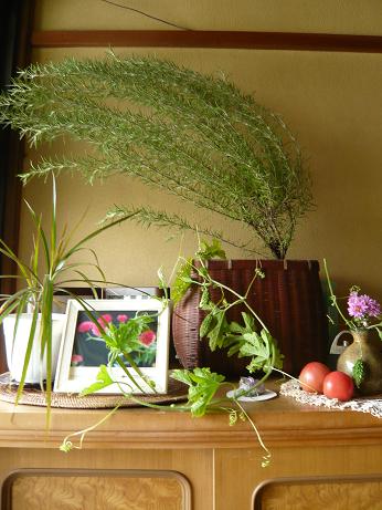 ���N���͎O���̓��I