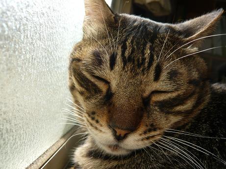 ���N���͎O���̓��I