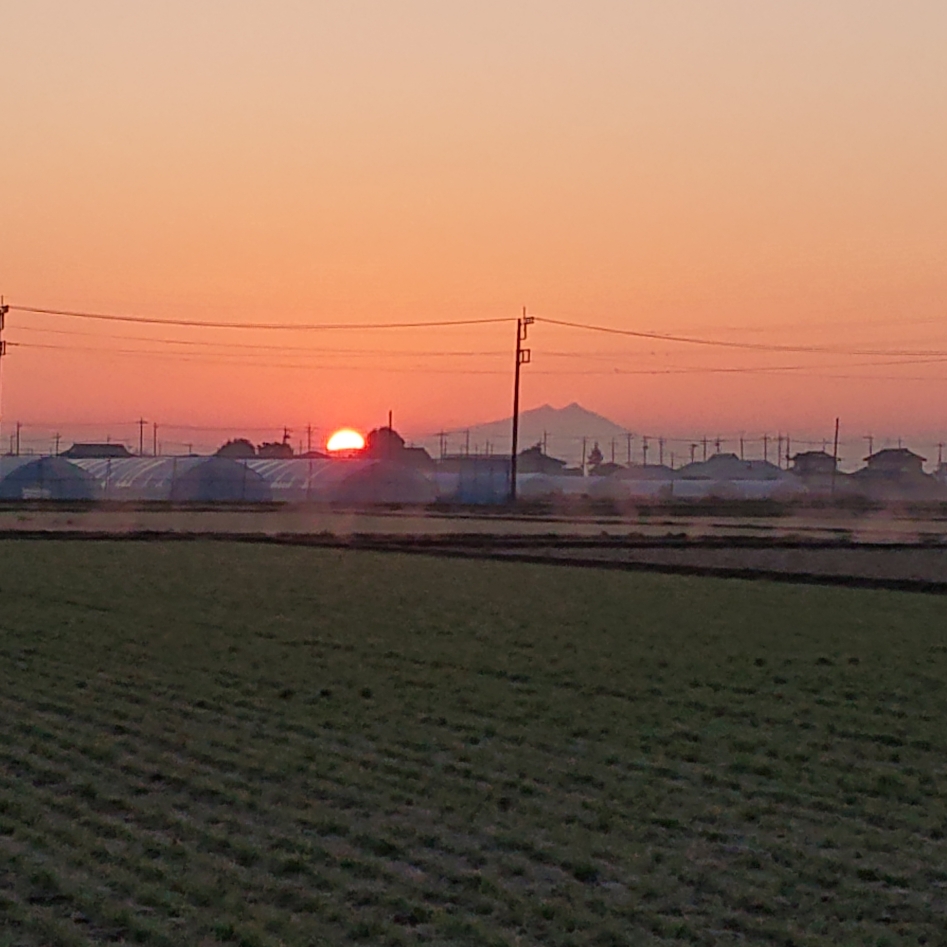 ���N���͎O���̓��I