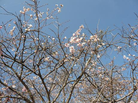 ���N���͎O���̓��I