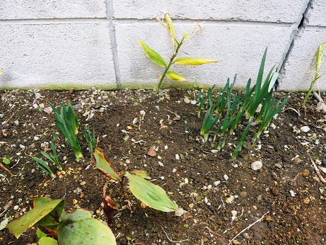 ���N���͎O���̓��I