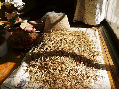 ���N���͎O���̓��I